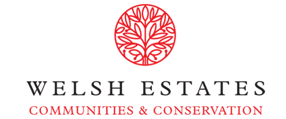 Ystadau Cymreig / Welsh Estates